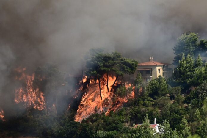 Ακόμη να παραιτηθεί κανείς; • antinews.gr